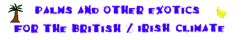 Palms and other exotics for the British and Irish climate