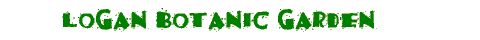 Logan Botanic Garden